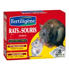 Rats et souris Blocs